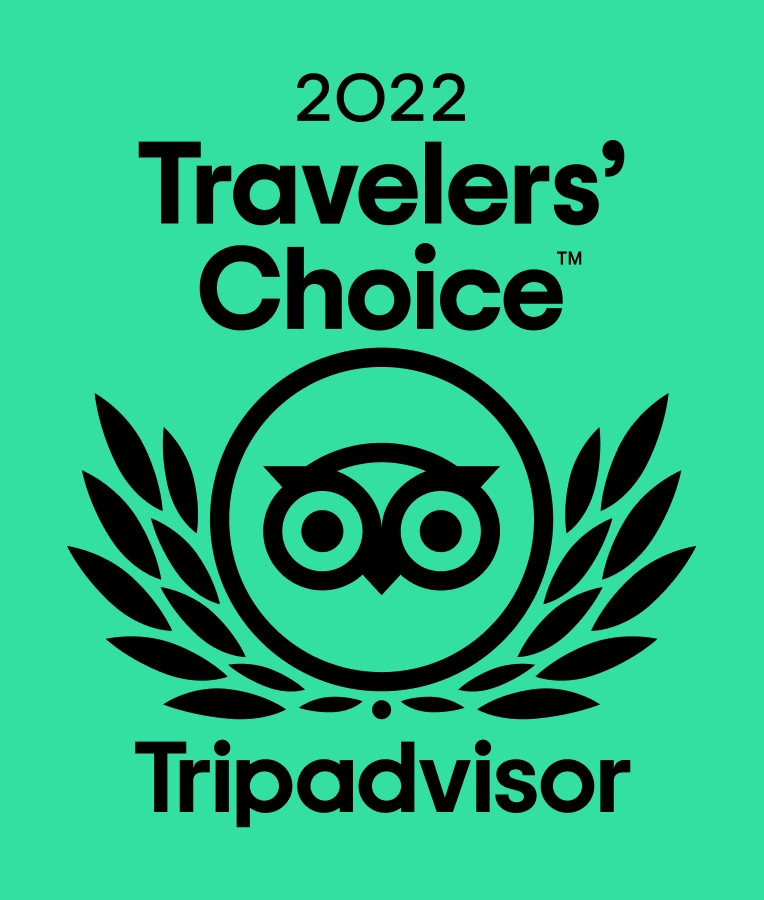 2022 travelers award
